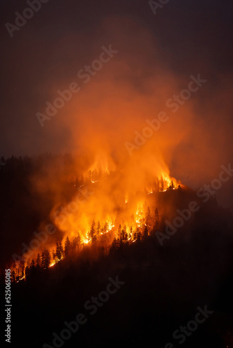 Foto Mountain forest wildfire at night with burning trees