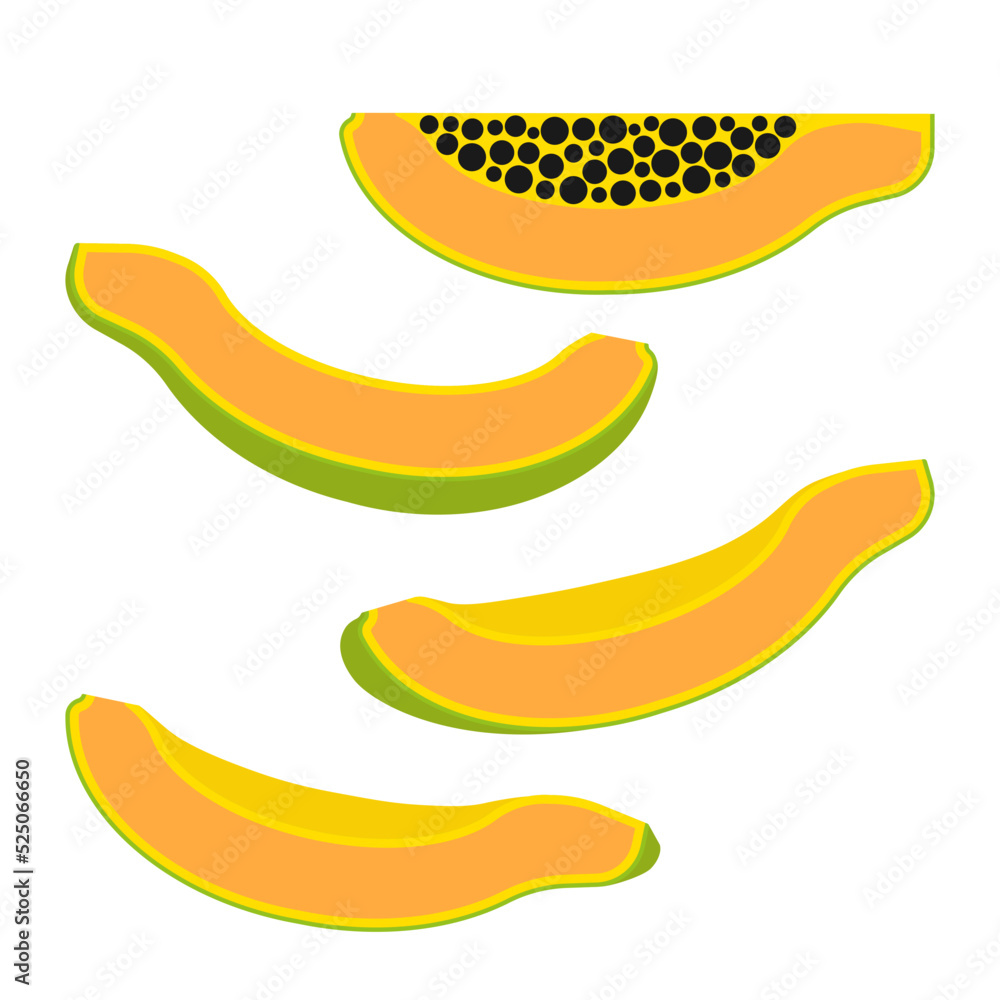 Papaya fruit. Color vector illustration of tropical fruit slices in