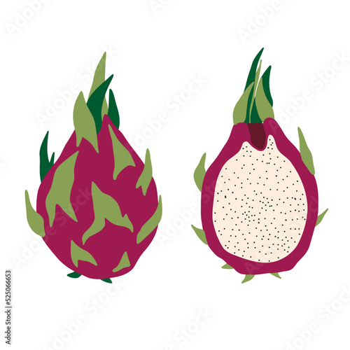 pitaya dragon fruit icon. Cartoon flat pitahaya dragonfruit. Sliced summer tropical exotic fruit. Vector illustration.