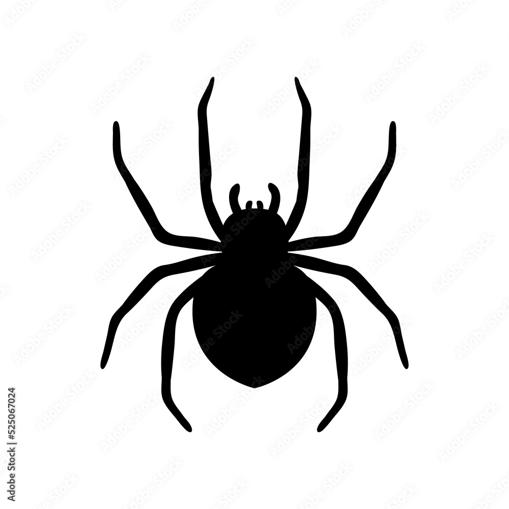 silhouette of a spider hanging from a web Abandoned House Horror Ideas for Halloween silhouette of a spider hanging from a web Abandoned House Horror Ideas for Halloween
