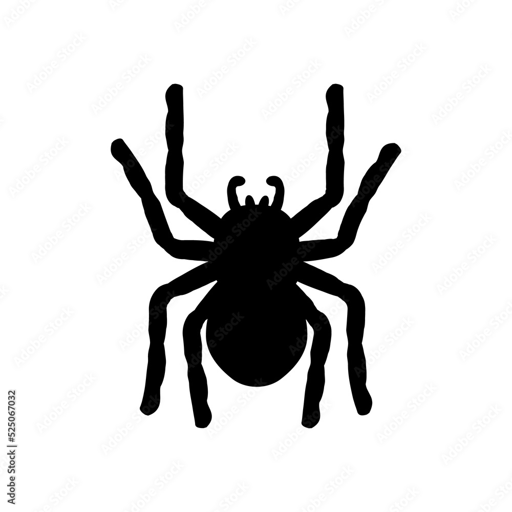 silhouette of a spider hanging from a web Abandoned House Horror Ideas for Halloween silhouette of a spider hanging from a web Abandoned House Horror Ideas for Halloween