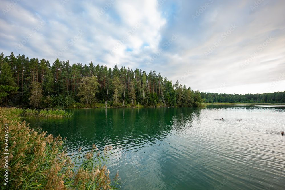 lake and forest