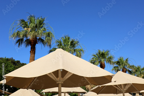 Sun umbrellas and palm trees on sky background, tropical vacation. Summer holidays on paradise nature, sea beach resort