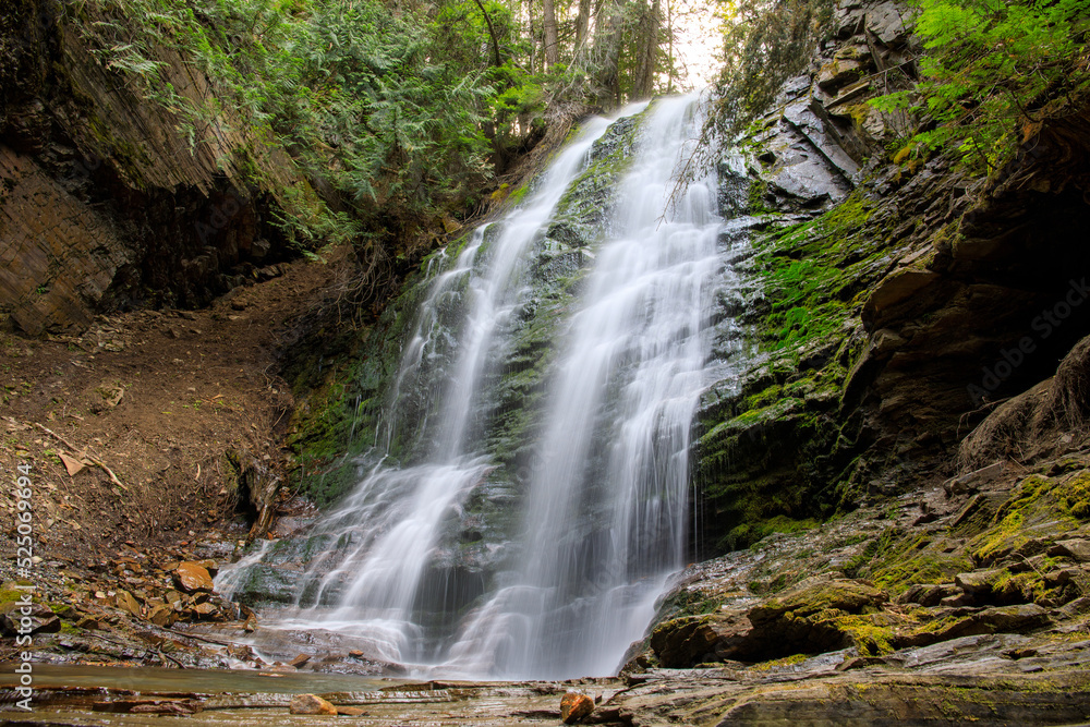 Obraz premium waterfall in the forest