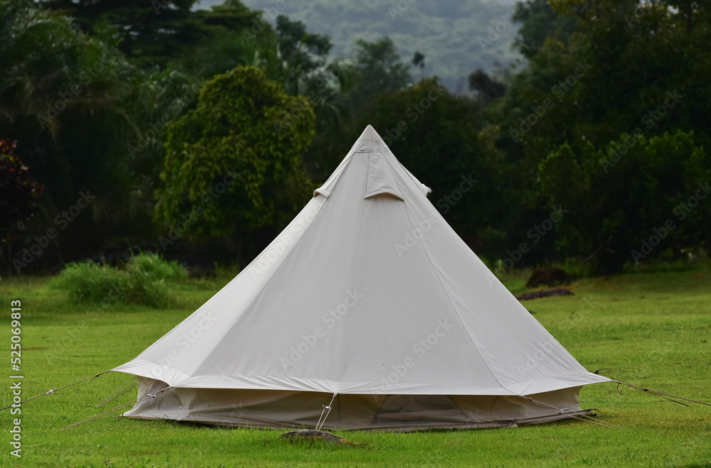 Nature at the campsite with morning dew	