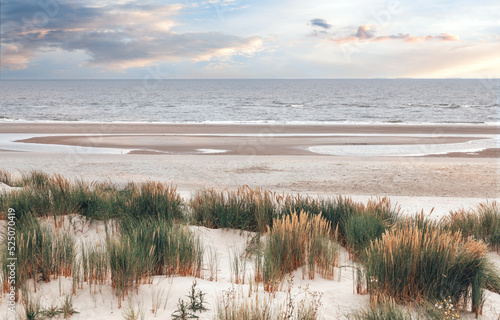 beach in the morning