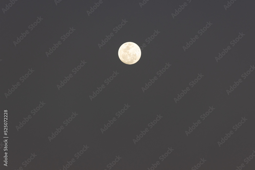 A super moon in the grey sky. Yellow moon. Nature. A super moon in the grey sky. Yellow moon. Nature.
