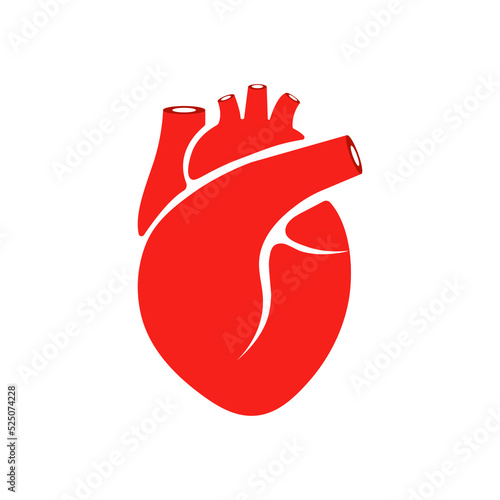 Illustration of the human heart. The topic of anatomy.