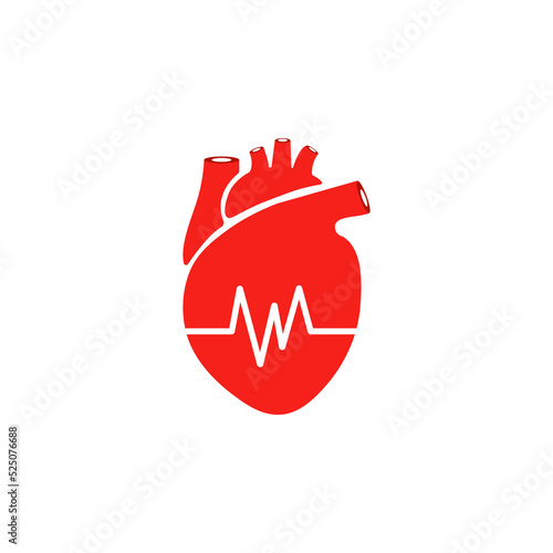 Illustration of the human heart. The topic of anatomy.