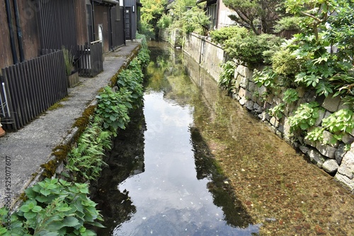 滋賀県、長浜、黒壁スクエア、店先、河川、川、水郷、生活水