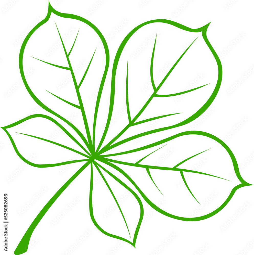 Green Buckeye or horsechestnut leaf isolated Green Buckeye or horsechestnut leaf isolated