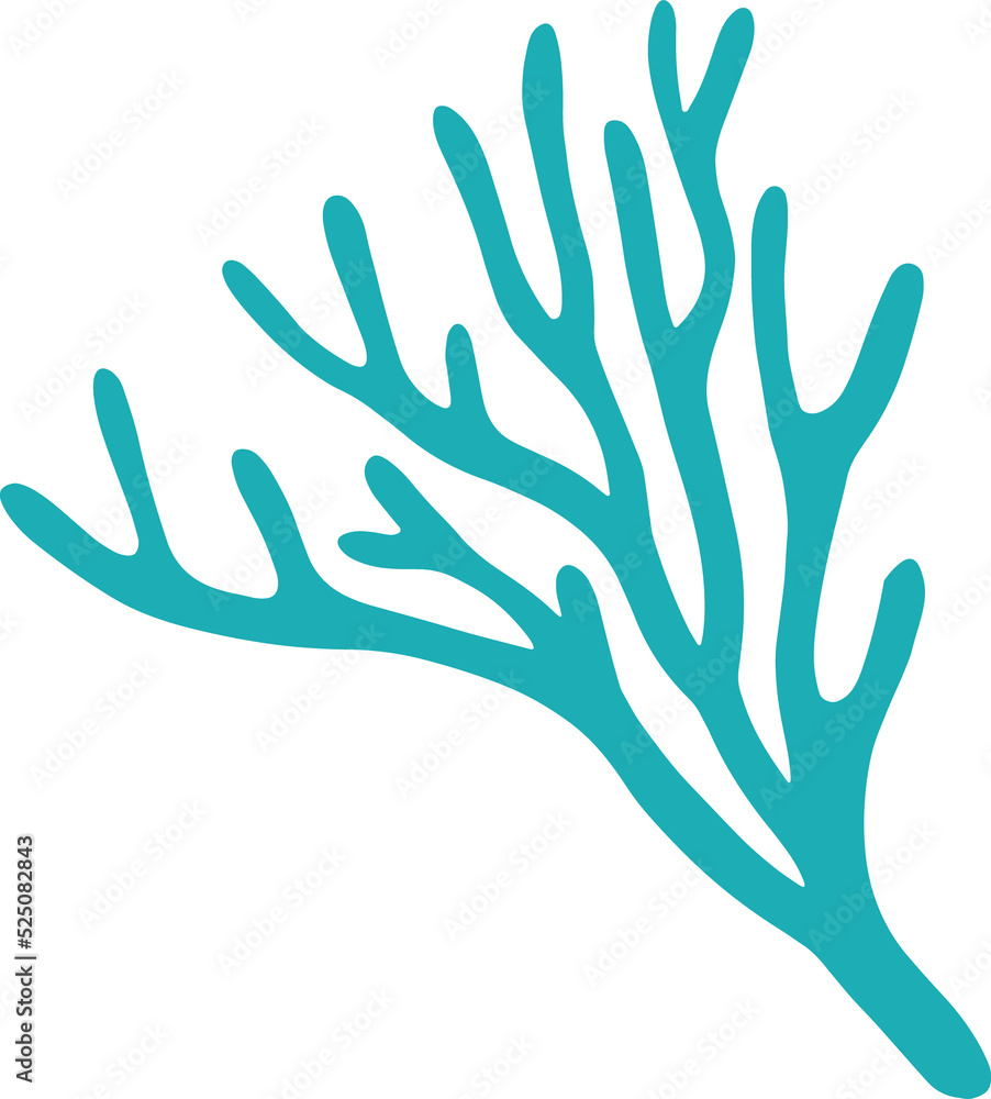 Hard coral, seaweed, aquatic underwater organism Hard coral, seaweed, aquatic underwater organism
