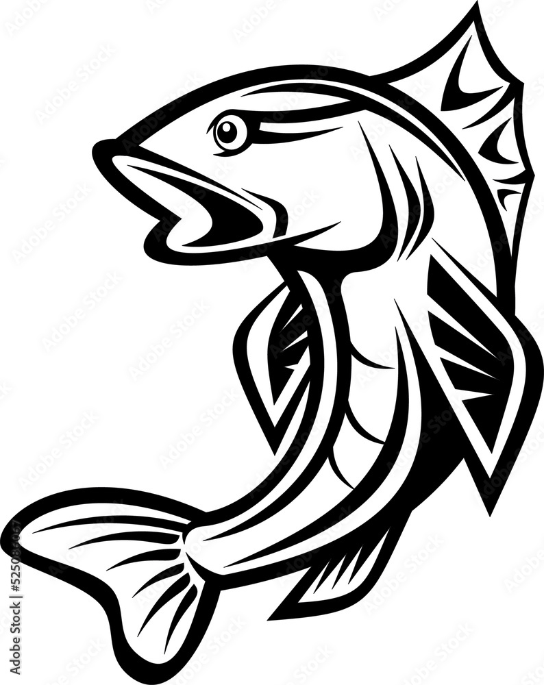 Naklejka premium Salmon fish hand drawn vector illustration