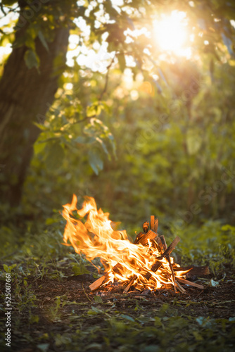 Small campfire in the forest under sunlight