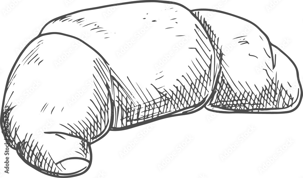 French roll isolated croissant monochrome sketch French roll isolated croissant monochrome sketch