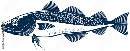 Scumbridae fish isolated freshwater codfish icon