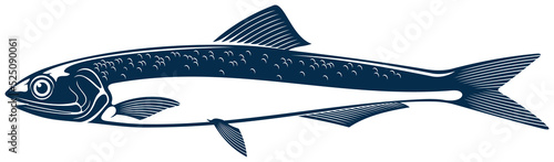 Small shoaling fish anchovy isolated Anchoa icon