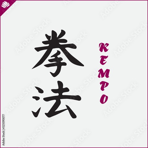 Japan kanji hieroglyph on dogi, kimono. Translated KEMPO. Vector, EPS.