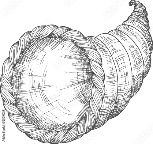 Cornucopia Thanksgiving day symbol horn of plenty