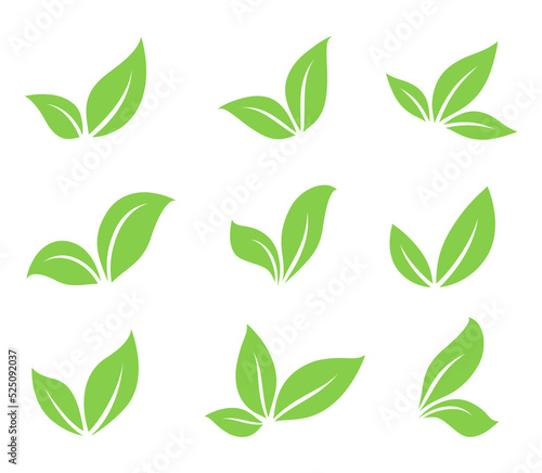 Green leaves branches silhouettes icons natural set