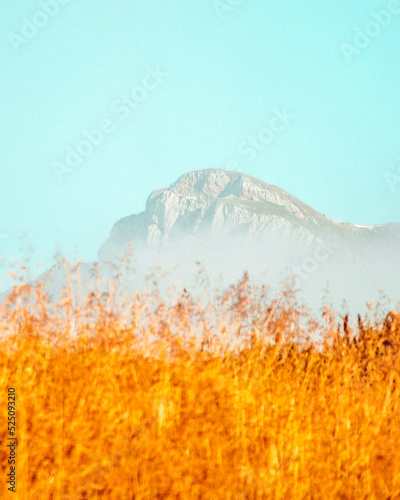 Paysage de Haute-Savoie, Chablais