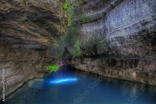 Fotografi Roaring River Spring Roaring Rivers State Park  Cassville Missouri  Emerging from the base of a limestone bluff, and an average daily flow of 26 million gallons