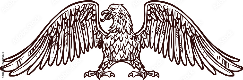 Obraz premium Eagle or hawk golden icon, vector sketch