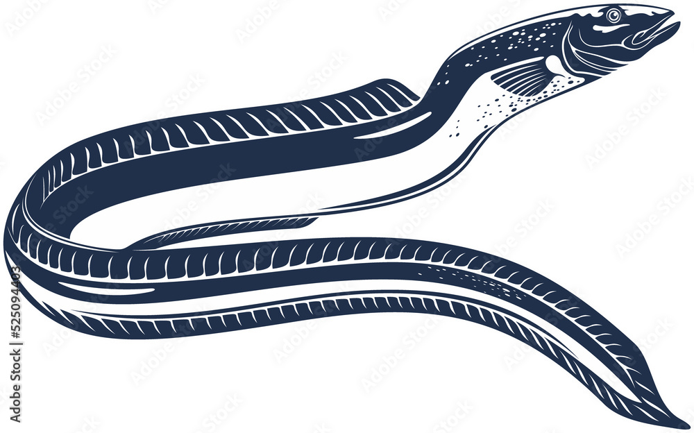 Electric eel isolated eelshape underwater fish Stock Illustration