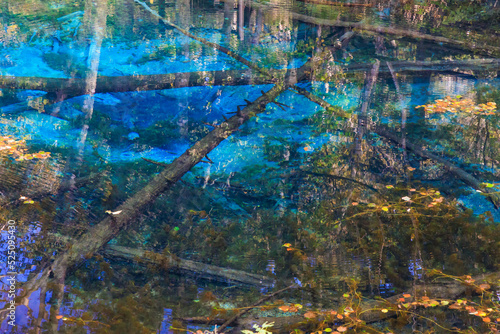 Fototapeta Naklejka Na Ścianę i Meble -  神聖な神の子池「秋の北海道」