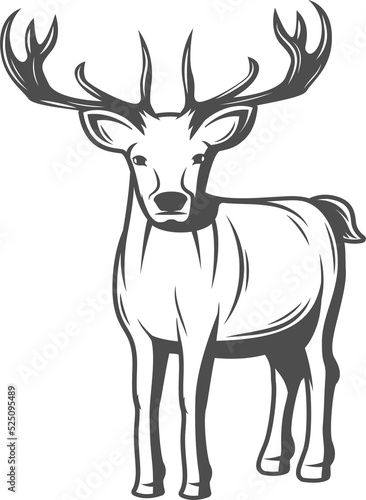 Deer or elk isolated monochrome animal