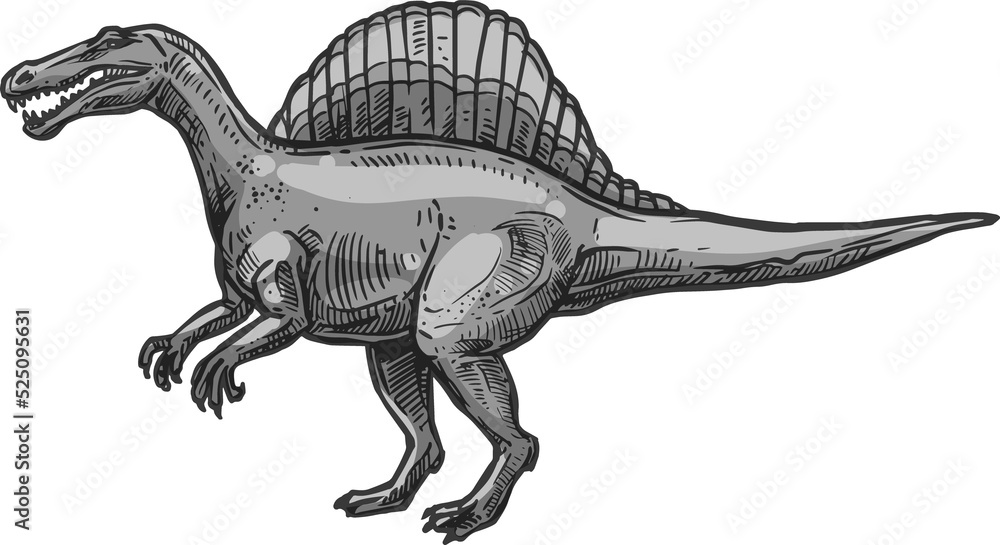 Spinosaurus theropod dinosaur with neural spines Spinosaurus theropod dinosaur with neural spines