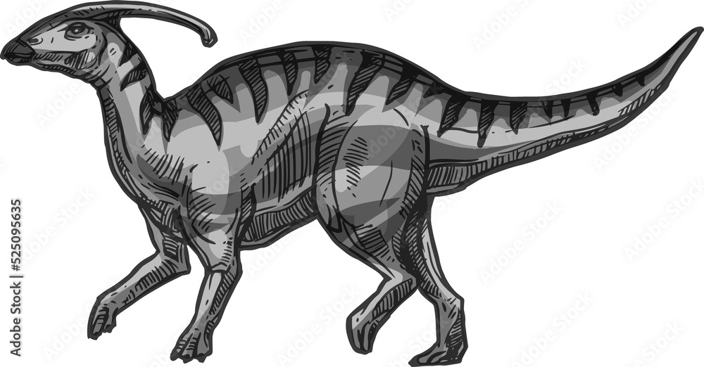 Fototapeta premium Dinosaur parasaurolophus isolated extinct animal sketch.