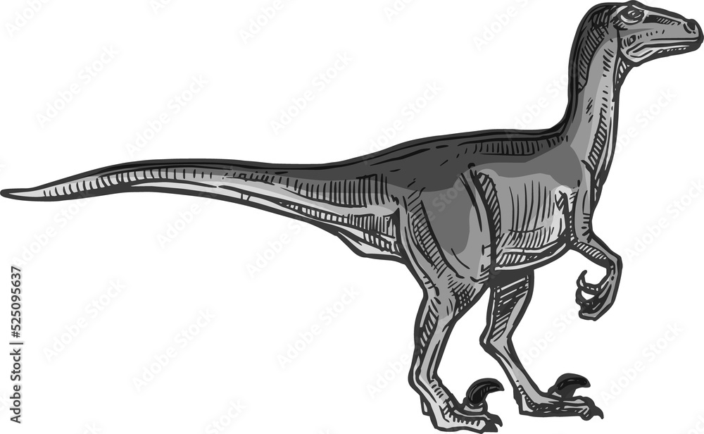 Fototapeta premium Tyrannosaurus T-rex isolated gray dinosaur dino