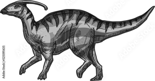 Dinosaur parasaurolophus isolated extinct animal sketch.