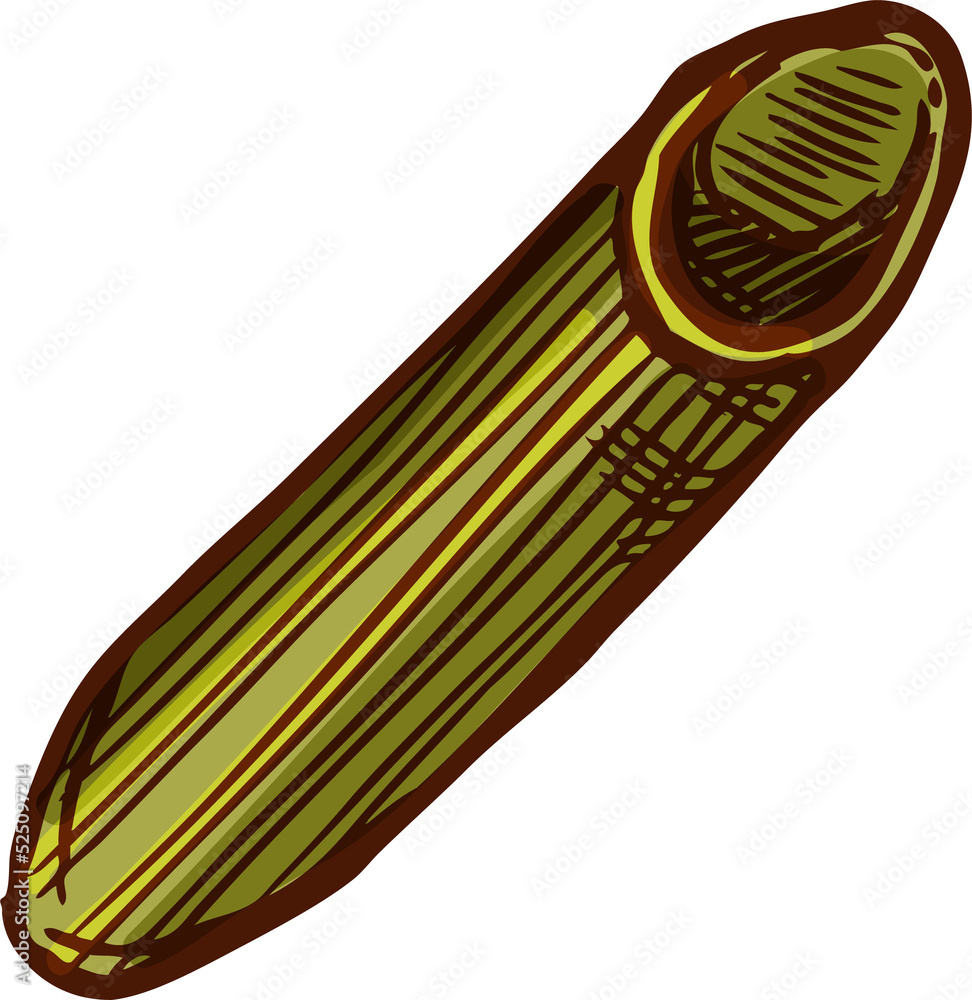 Italian green penne tricolor sketch icon Italian green penne tricolor sketch icon