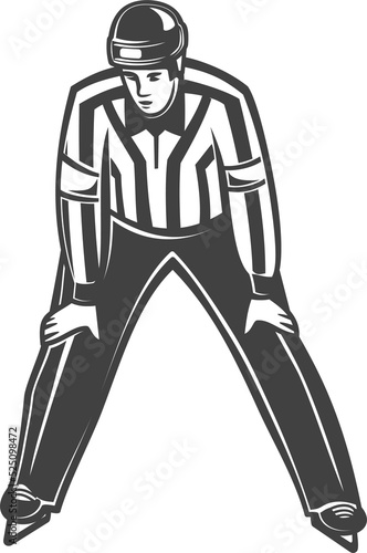 Photography Official ice hockey referee man in striped uniform