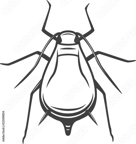 Aphid insect isolated vector icon, pest control