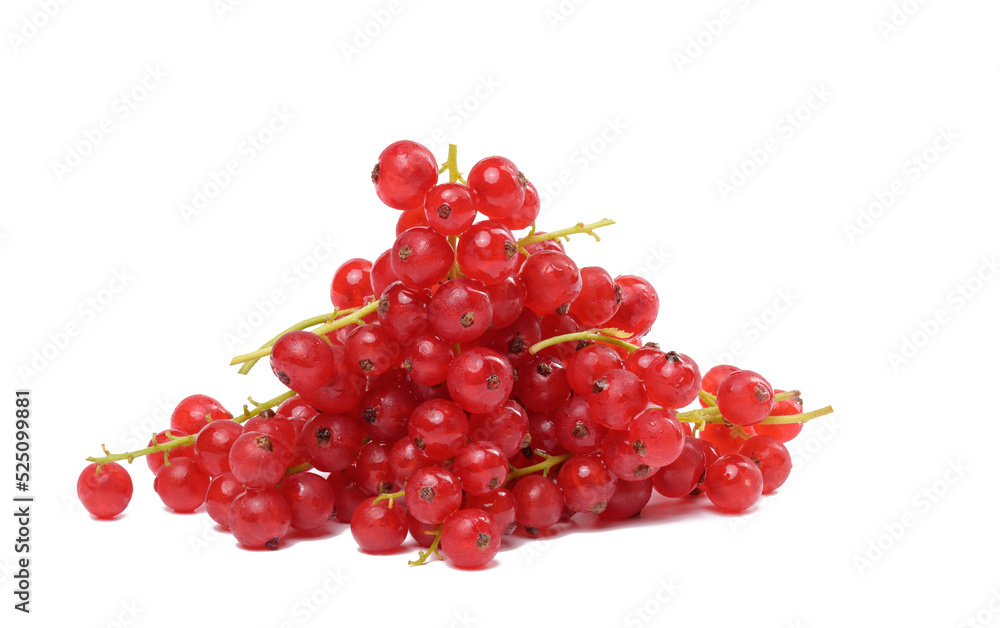 A bunch of ripe red currants on a white isolated background A bunch of ripe red currants on a white isolated background