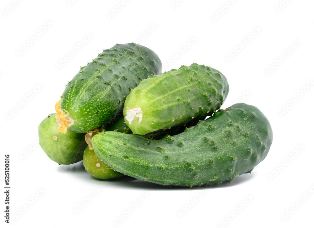 Bunch of ripe green cucumbers on a white isolated background Bunch of ripe green cucumbers on a white isolated background