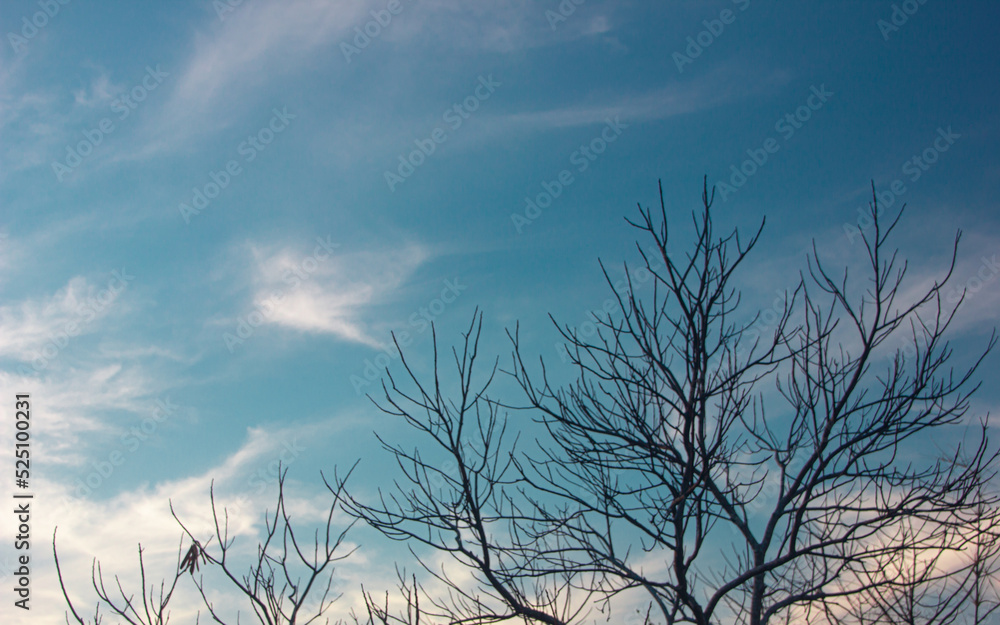 abstract cloudy background, beautiful natural streaks of sky and clouds..beautiful natural landscape.