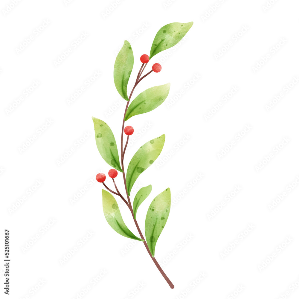Fototapeta premium leaf