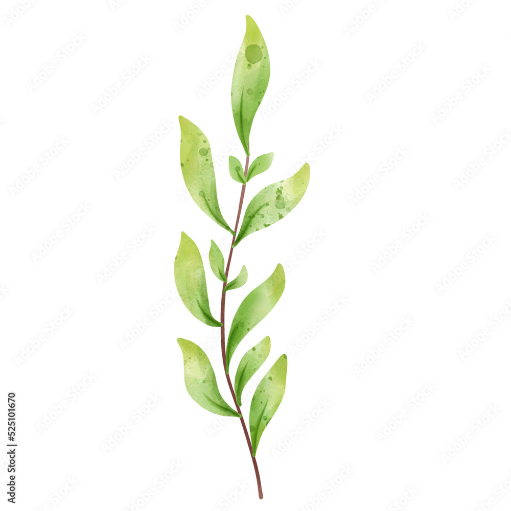 leaf leaf