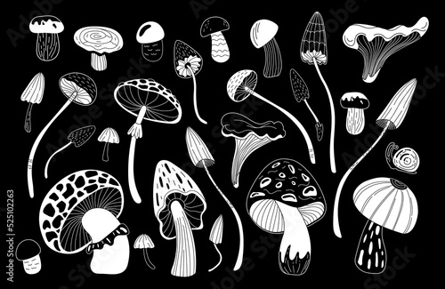 A set of different magic mushrooms on a black background. Doodle style.
