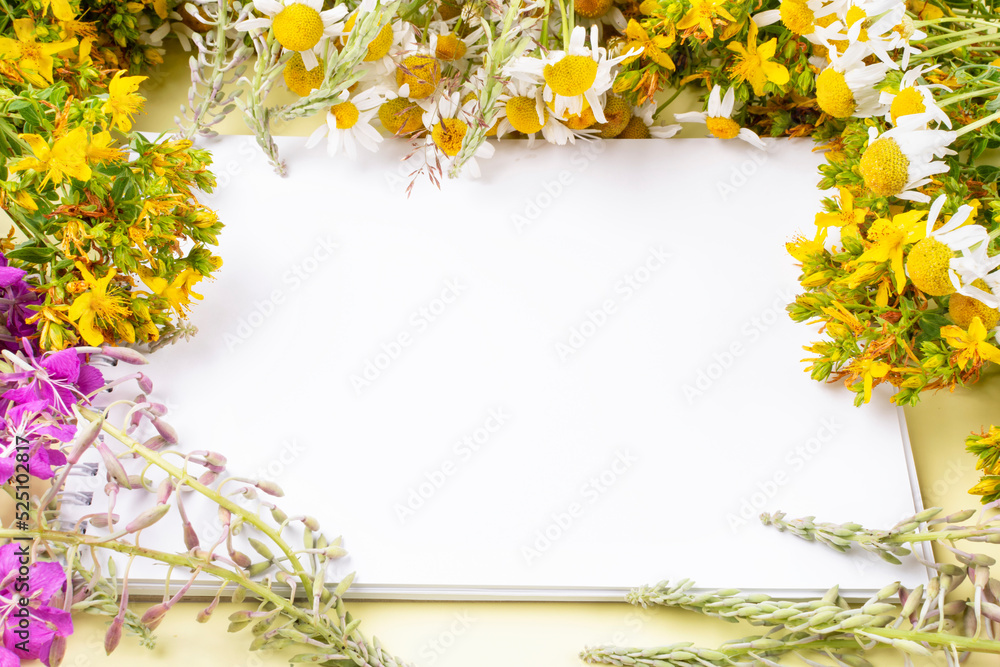A frame of medicinal meadow and field herbs (ivan-tea, ivan-grass, kipreya, epilobium, chamomile, St. John's wort) and a notebook with a blank page. Space for text.