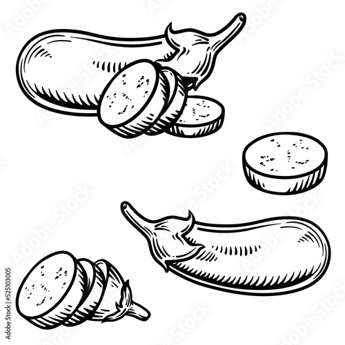 Eggplant isolated on white background. Vector illustration in engraving style.