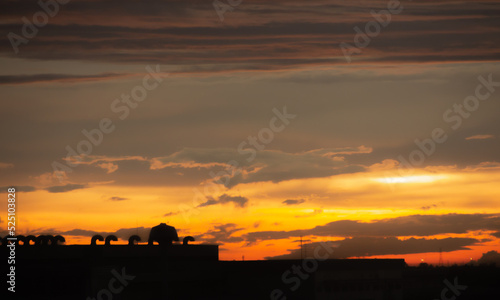 Abstract cloudy background  beautiful natural streaks of sky and clouds Red sky at sunset