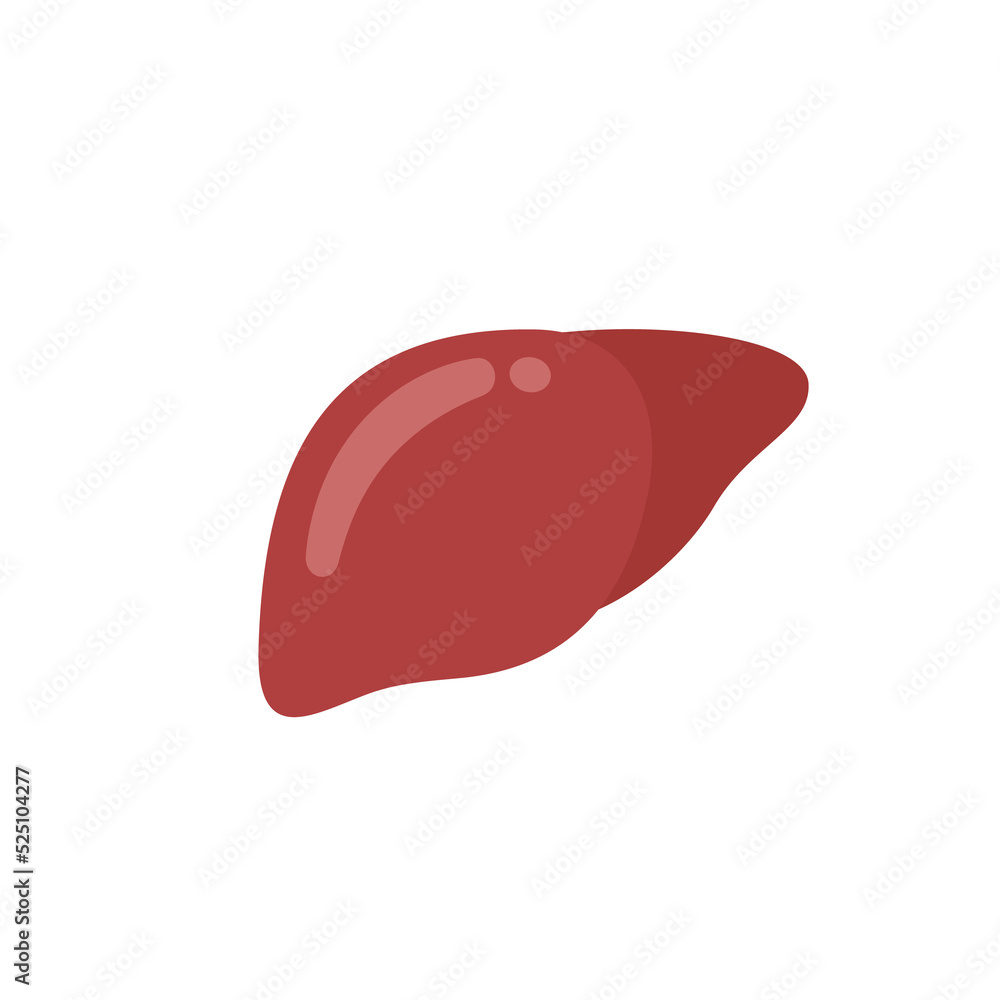 Liver icon. The liver is the human internal organ that helps filter toxins and waste from the body. Liver icon. The liver is the human internal organ that helps filter toxins and waste from the body.