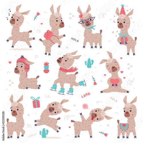 Cute fluffy llama in different poses set. Funny alpaca animal characters cartoon vector illustration