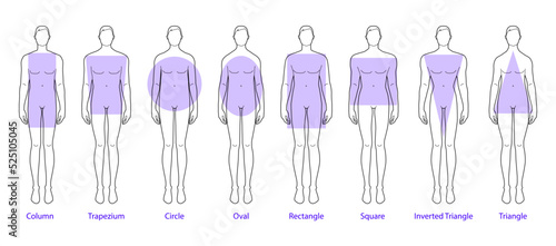 Set of Men body shape types: triangle, column, trapezium, circle, oval, square, inverted. Male Vector outline sketch isolated illustration silhouette 9 head size Gentlemen figure front view boy