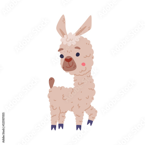 Cute funny baby llama. Alpaca domesticated animal. Childish print for sticker, card, textile, nursery decor vector illustration